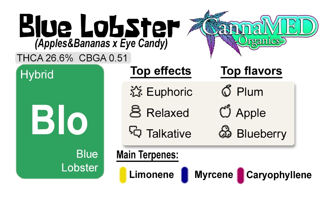 Blue Lobster / 3.5g